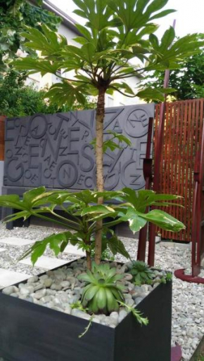 Il Tiglio Modena